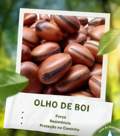 Olho-de-Boi — a firmeza da força, da estabilidade e da resistência espiritual