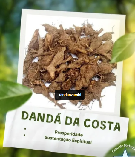 Dandá da Costa — a força da prosperidade e o alimento do axé